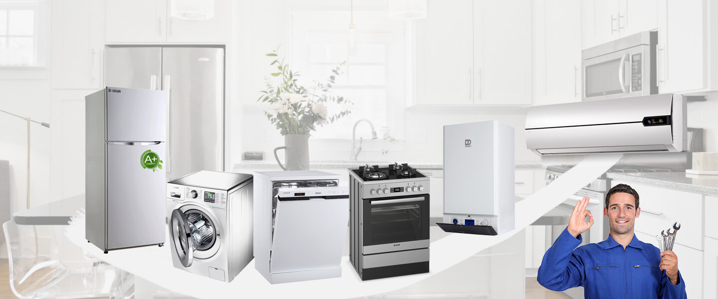 Palandöken Electrolux Servisi